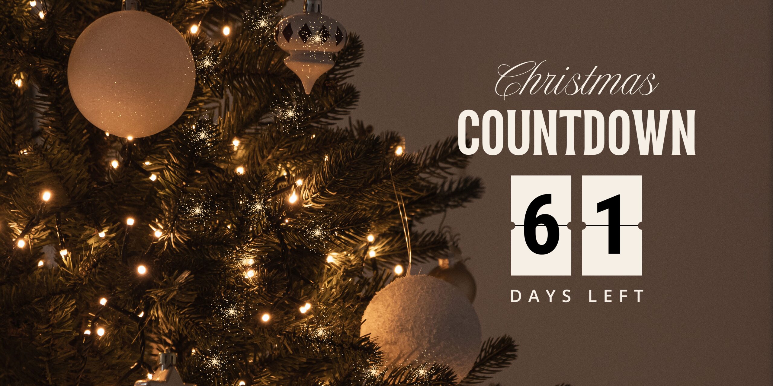 Read more about the article 🎄 Your Holiday Beauty Countdown: Treatments That Make a Difference